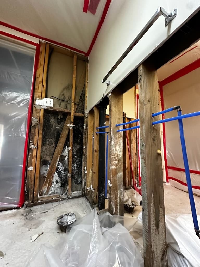 Mold Remediation in Rock Hill, SC