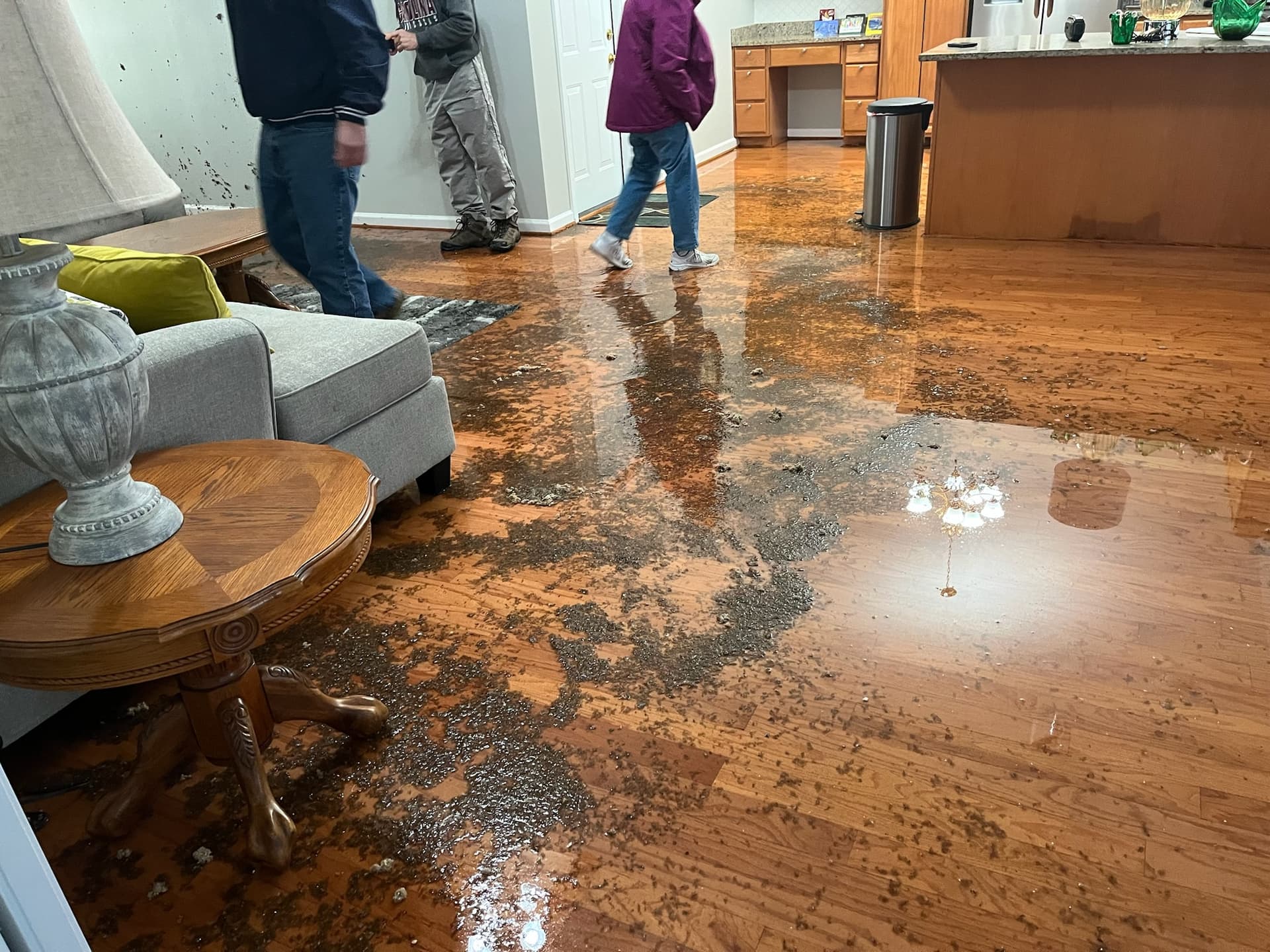 Storm Damage Response